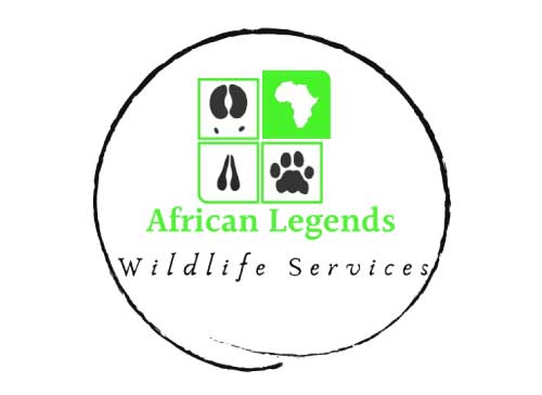 Africa Legends Legacy of the Wild Foundation