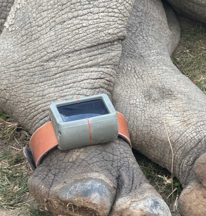 Tracker Installation Legacy of the Wild Foundation
