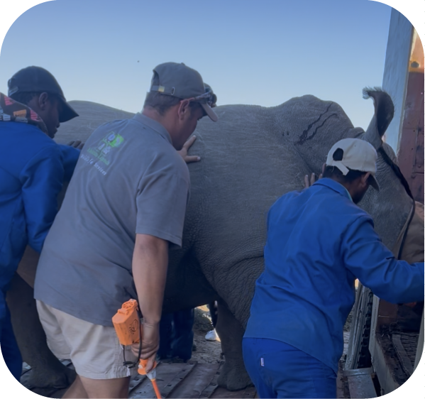 Veterinary Emergency Response 2 Legacy of the Wild Foundation